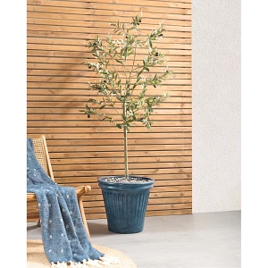 Doniczka MAIZE 43 cm Niebieski Doniczka MAIZE 43 cm Niebieski