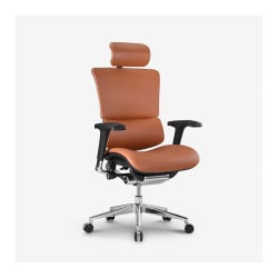 Ergonimiczny Fotel ERGOFLY SAIL Alum L-06 Brown Ergonimiczny Fotel ERGOFLY SAIL Alum L-06 Brown