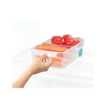 Jj-pojemnik/organizer l do lodówki fridgestore™