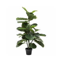 Kare roślina dekoracyjna fiddle leaf 120 cm