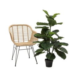 Kare roślina dekoracyjna fiddle leaf 120 cm