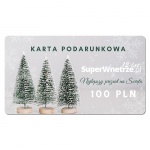 Karta podarunkowa 100 PLN świąteczna