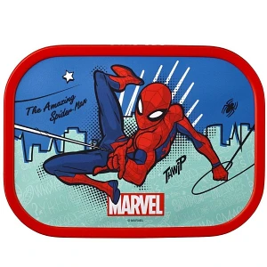 Lunchbox campus spiderman 107440065396