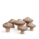 Magnesy Shiitake 10229-BN