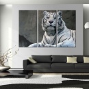 Obraz - Biały tygrys (60x40 cm)