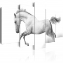 Obraz - Koń - pasja i wolność (100x50 cm)