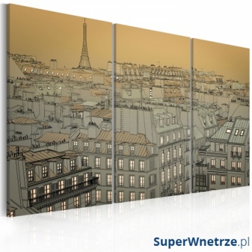 Obraz - Ostatnia chwila dnia - Paryż (60x40 cm)