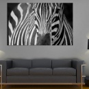 Obraz - Pani Zebra (60x40 cm)