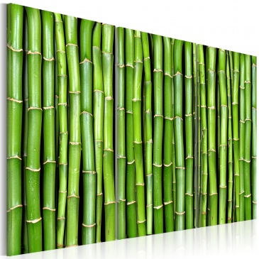 Obraz - Ściana z bambusa (60x40 cm)