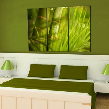 Obraz - Soczysta zieleń tropikalnych traw (60x40 cm)