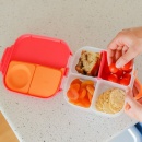 poręczny lunchbox