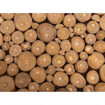 Stolik kawowy drewno tekowe brązowy RIMBEY