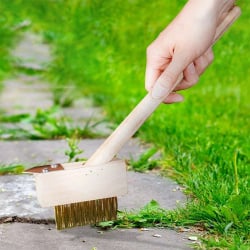Szczotka do chwastów, kostki brukowej ze skrobakiem 35 cm Szczotka do chwastów, kostki brukowej ze skrobakiem 35 cm