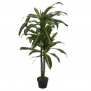 Sztuczna roślina Dracena 130cm