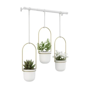 UMBRA – Kwietnik potrójny, TRIFLORA UMBRA – Kwietnik potrójny, TRIFLORA