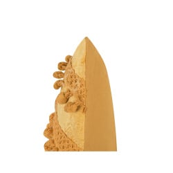 Zestaw 2 poduszek dekoracyjnych 30 x 50 cm żółty AYROOR