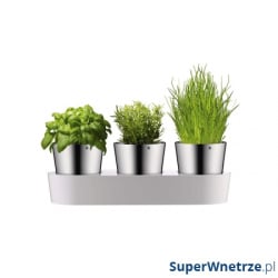 Zestaw 3 doniczek na zioła WMF Gourmet Zestaw 3 doniczek na zioła WMF Gourmet